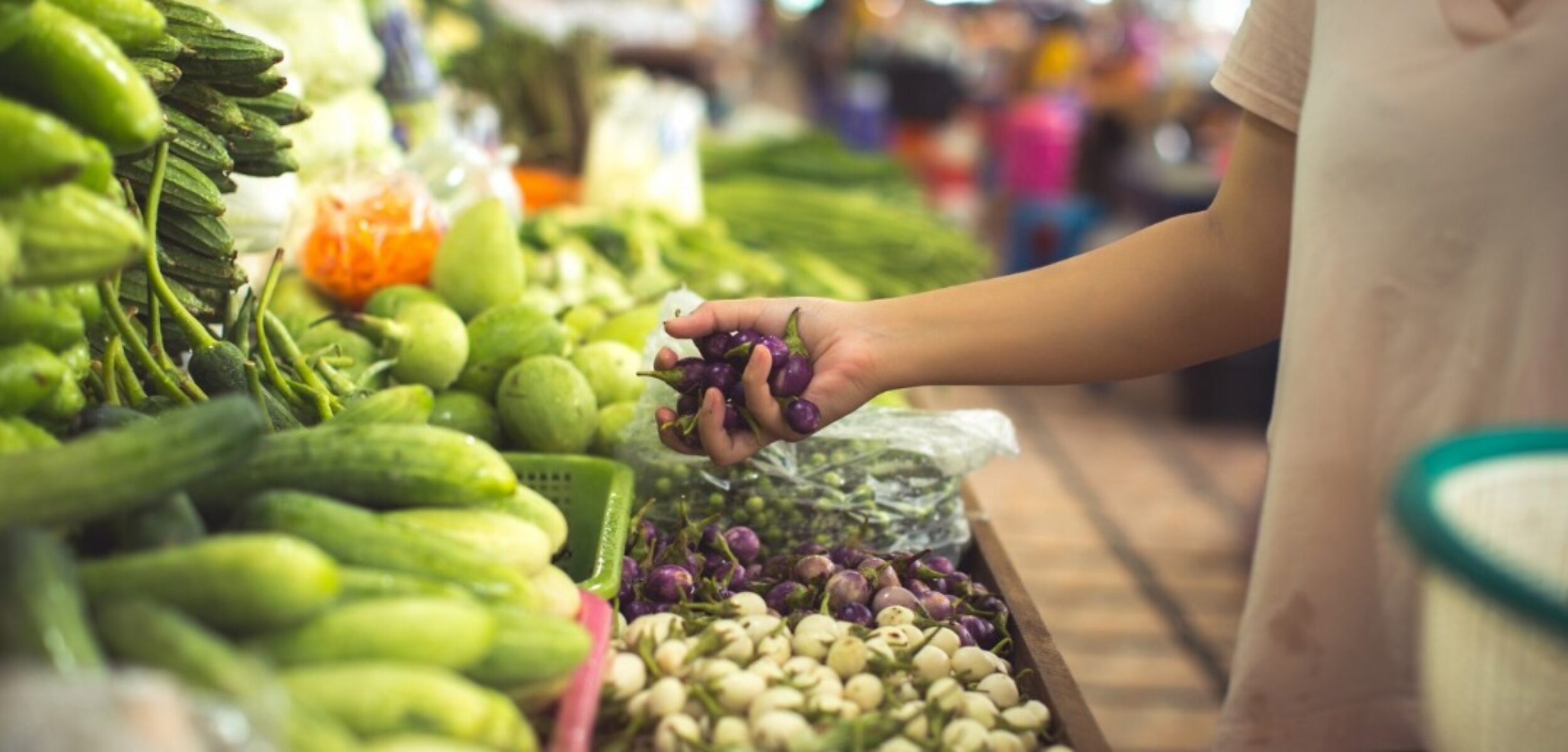 WhatsApp Image 2024 08 14 at 10.53.19 AM 1 WhatsApp Image 2024 08 14 at 10.53.19 AM