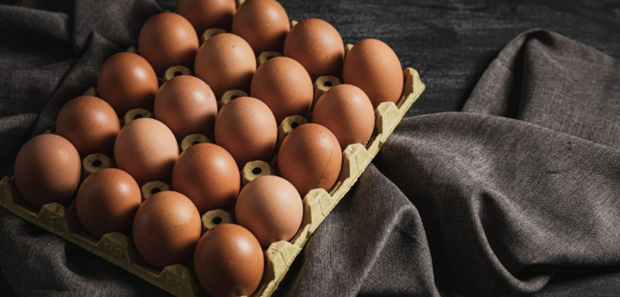 WhatsApp Image 2024 08 14 at 9.44.42 AM