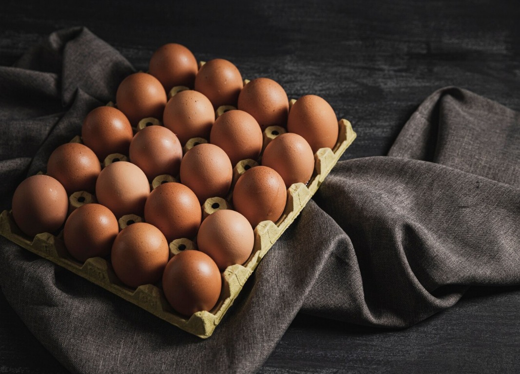 WhatsApp Image 2024 08 14 at 9.44.42 AM