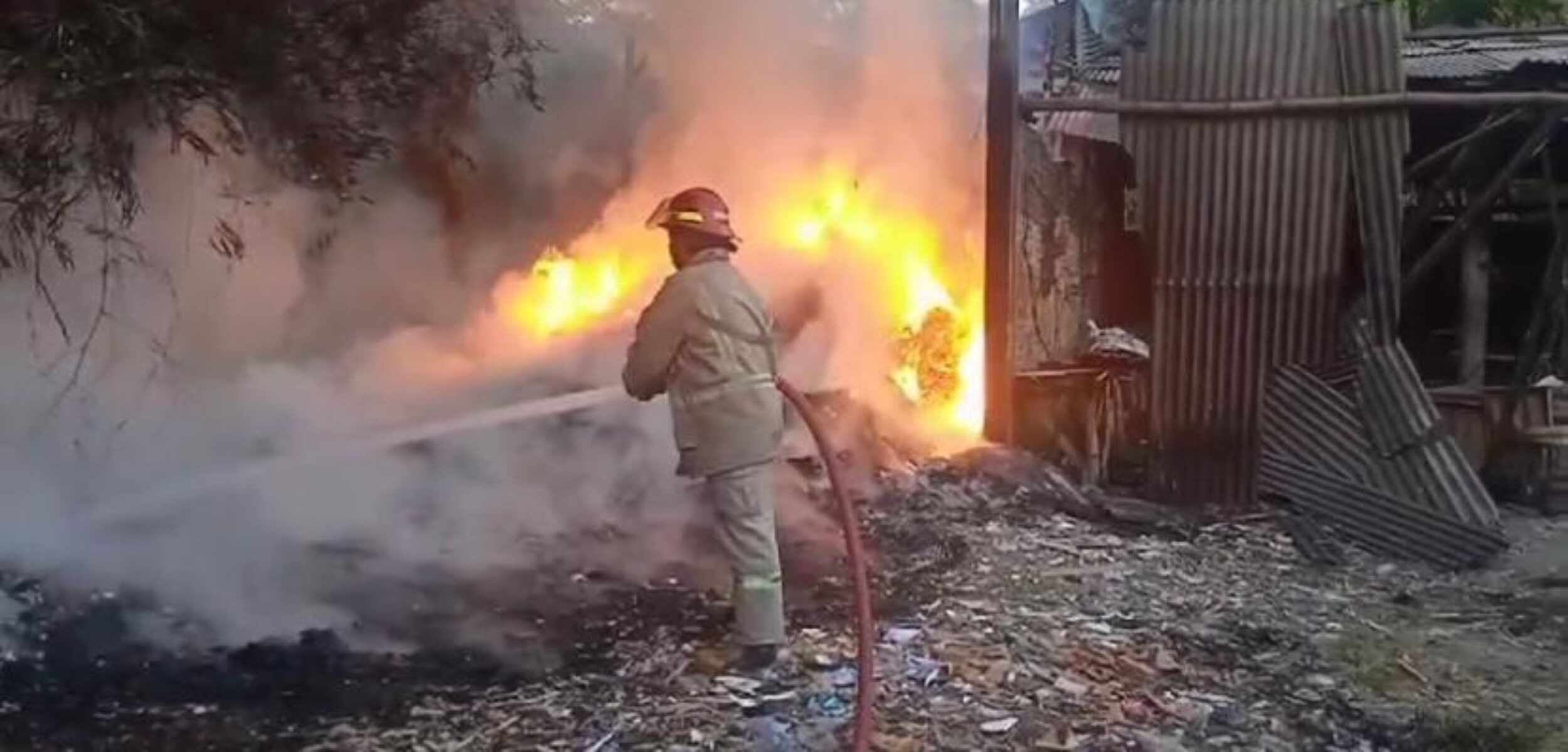 WhatsApp Image 2024 08 15 at 12.41.53 PM