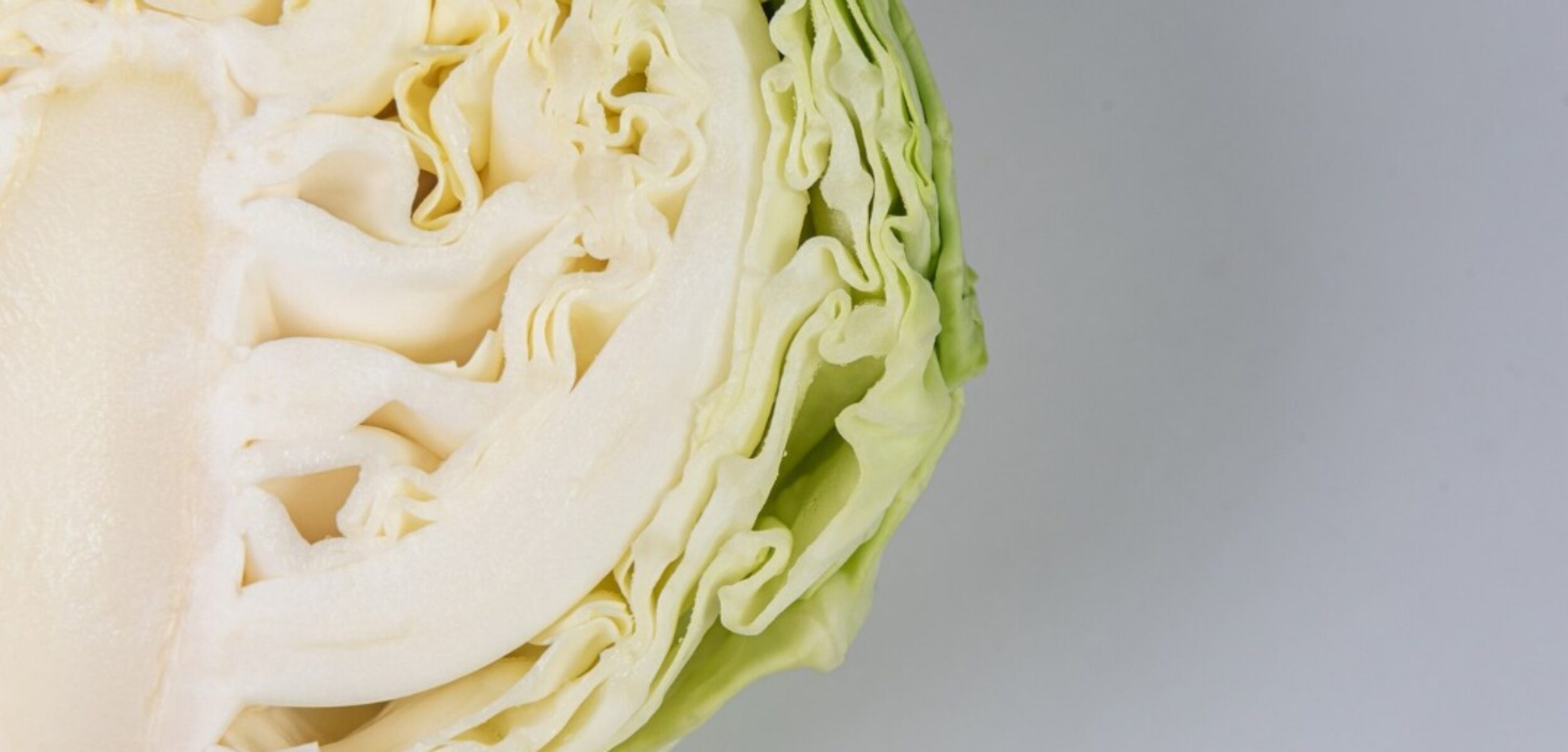 WhatsApp Image 2024 08 15 at 9.37.58 AM