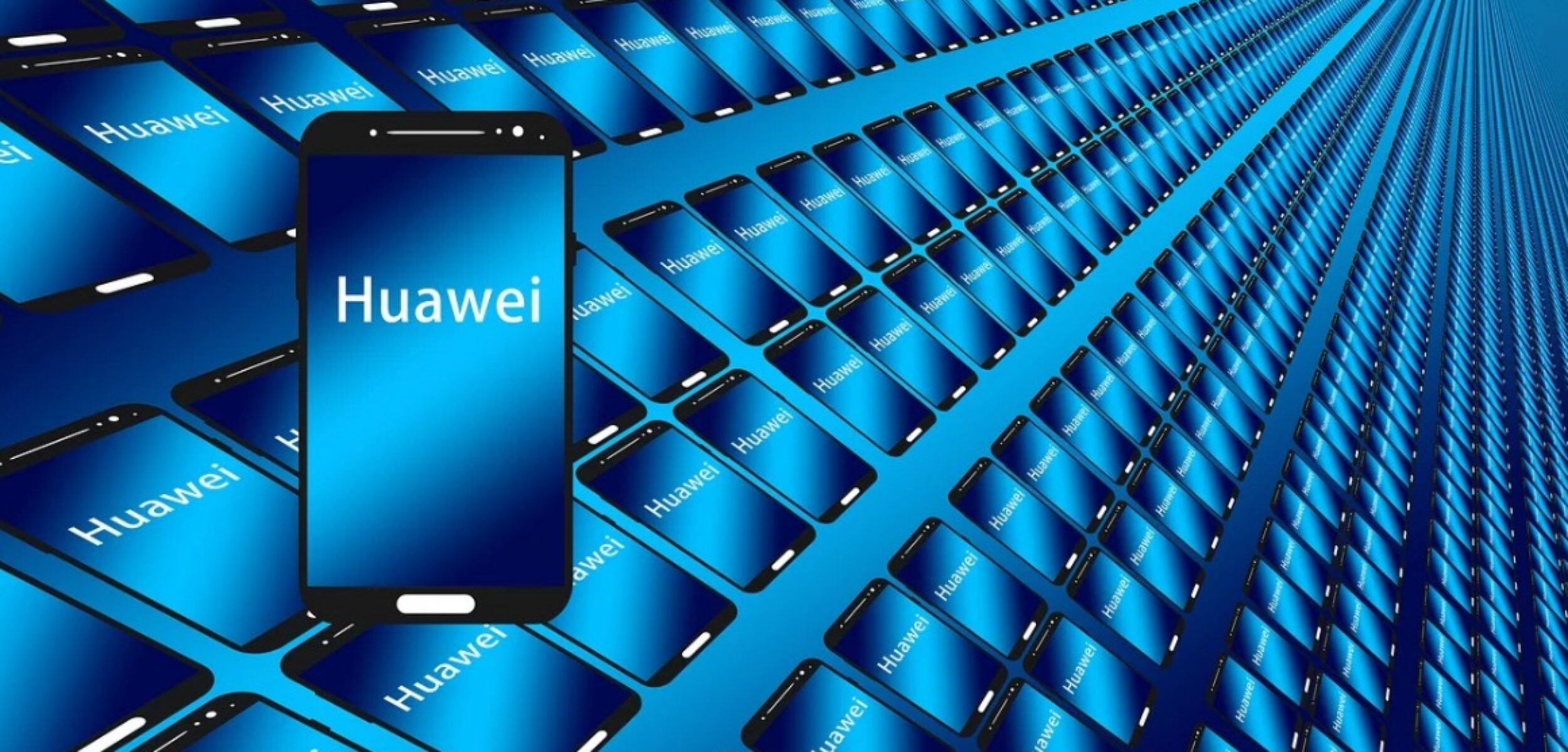 WhatsApp Image 2024 08 16 at 10.39.45 AM