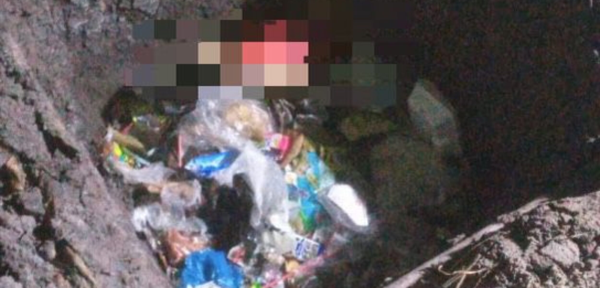 WhatsApp Image 2024 08 16 at 10.50.48 AM