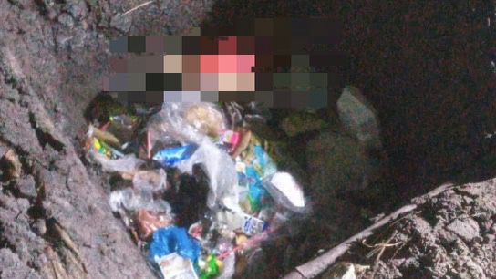 WhatsApp Image 2024 08 16 at 10.50.48 AM