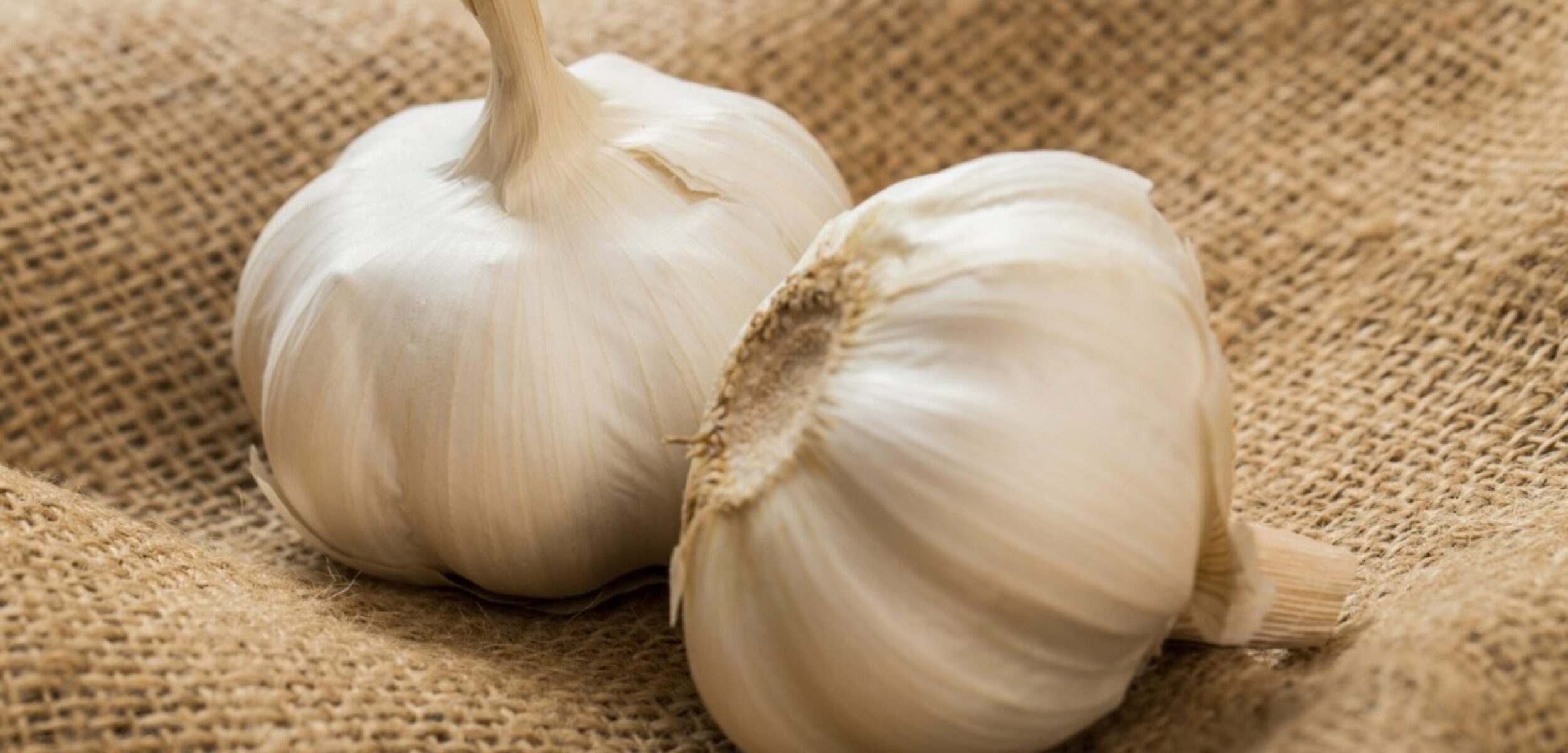 WhatsApp Image 2024 08 20 at 11.36.51 AM