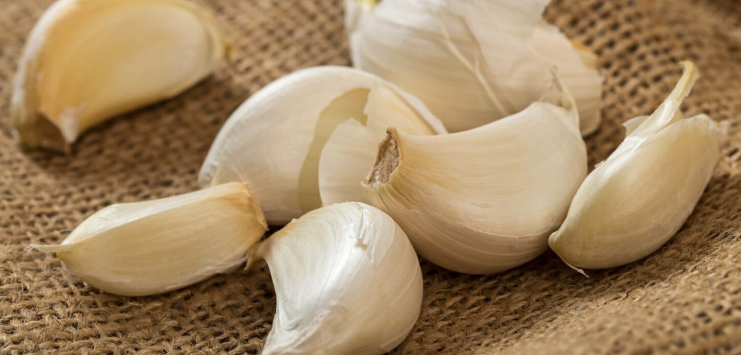 WhatsApp Image 2024 08 21 at 9.24.04 AM