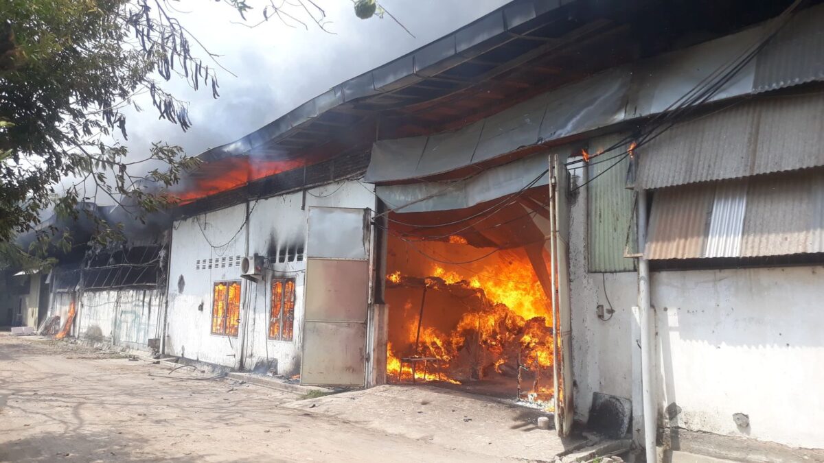 WhatsApp Image 2024 08 23 at 1.59.46 PM