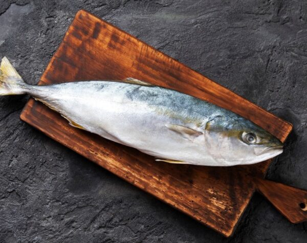 Perkembangan Harga Bahan Pokok Ikan Tuna, Dibanderol Rp 29.000