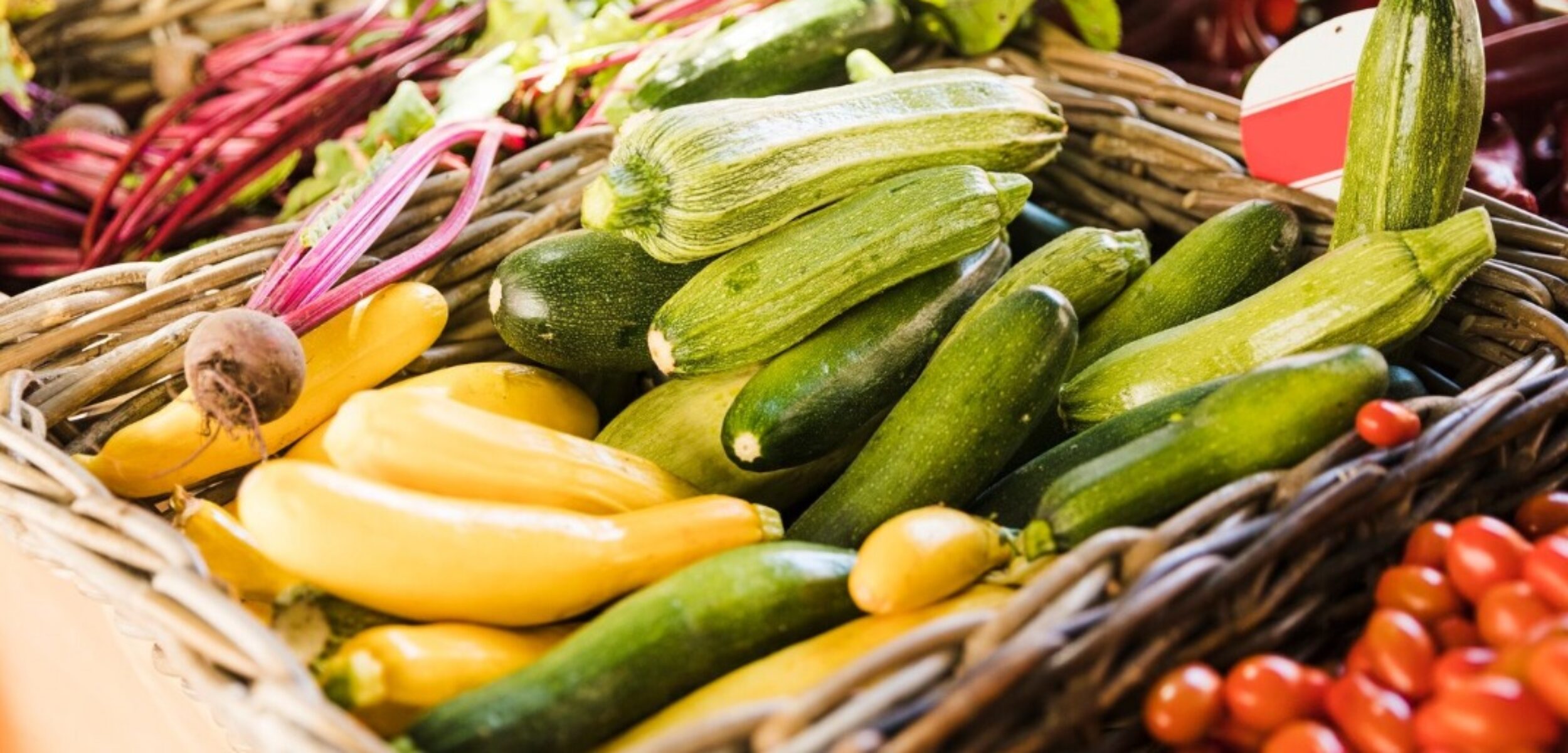 WhatsApp Image 2024 08 26 at 9.10.58 AM