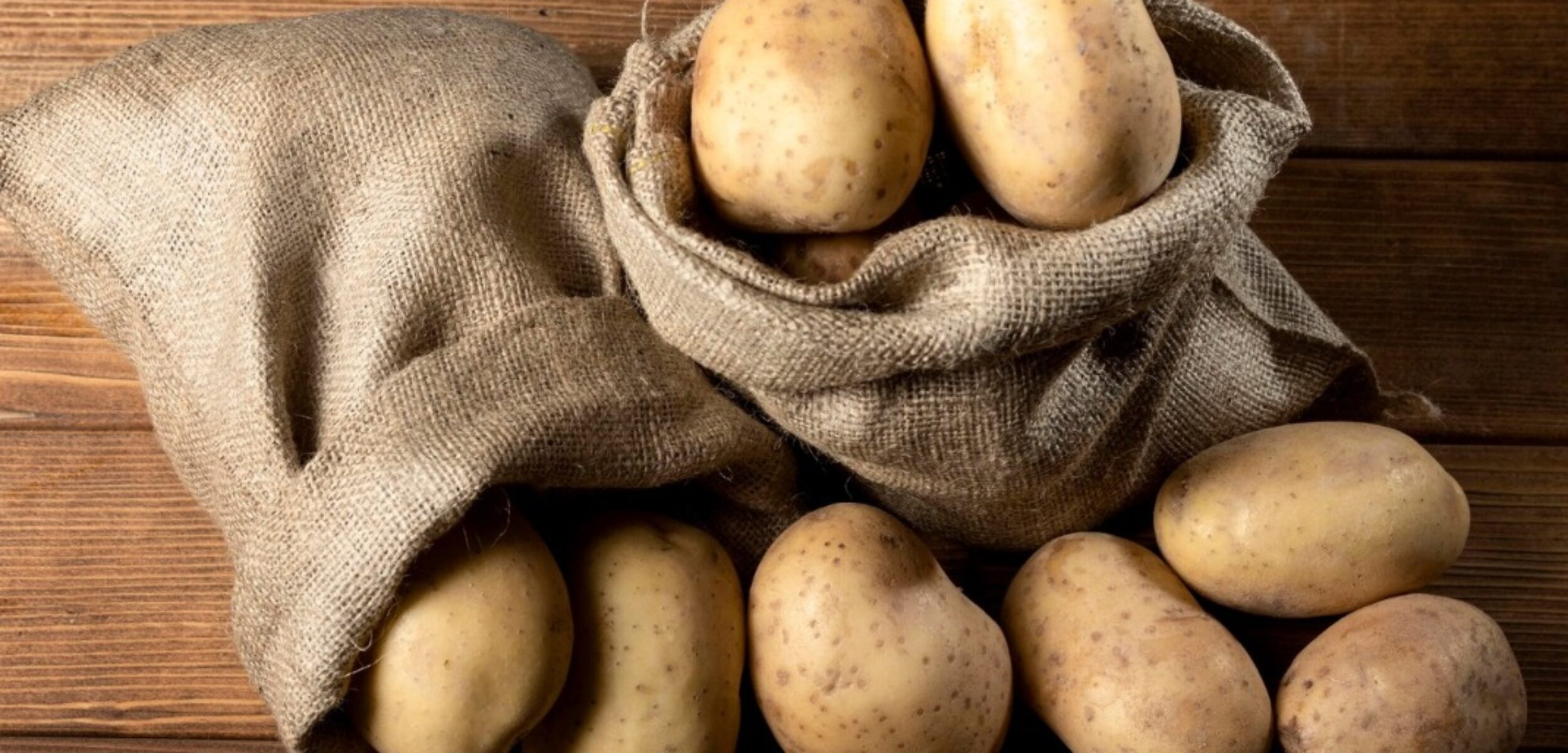 WhatsApp Image 2024 08 27 at 8.41.59 AM