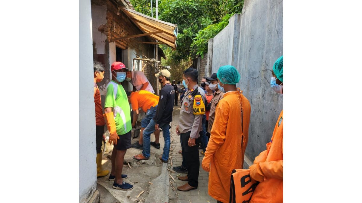 WhatsApp Image 2024 08 28 at 8.12.13 AM