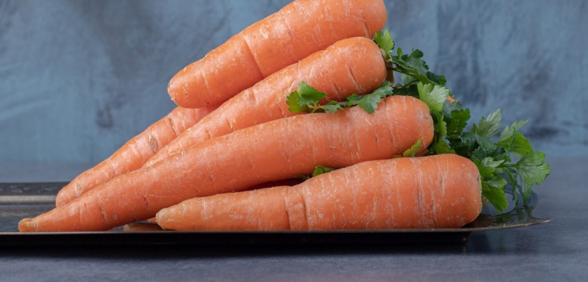 WhatsApp Image 2024 08 31 at 8.58.59 AM