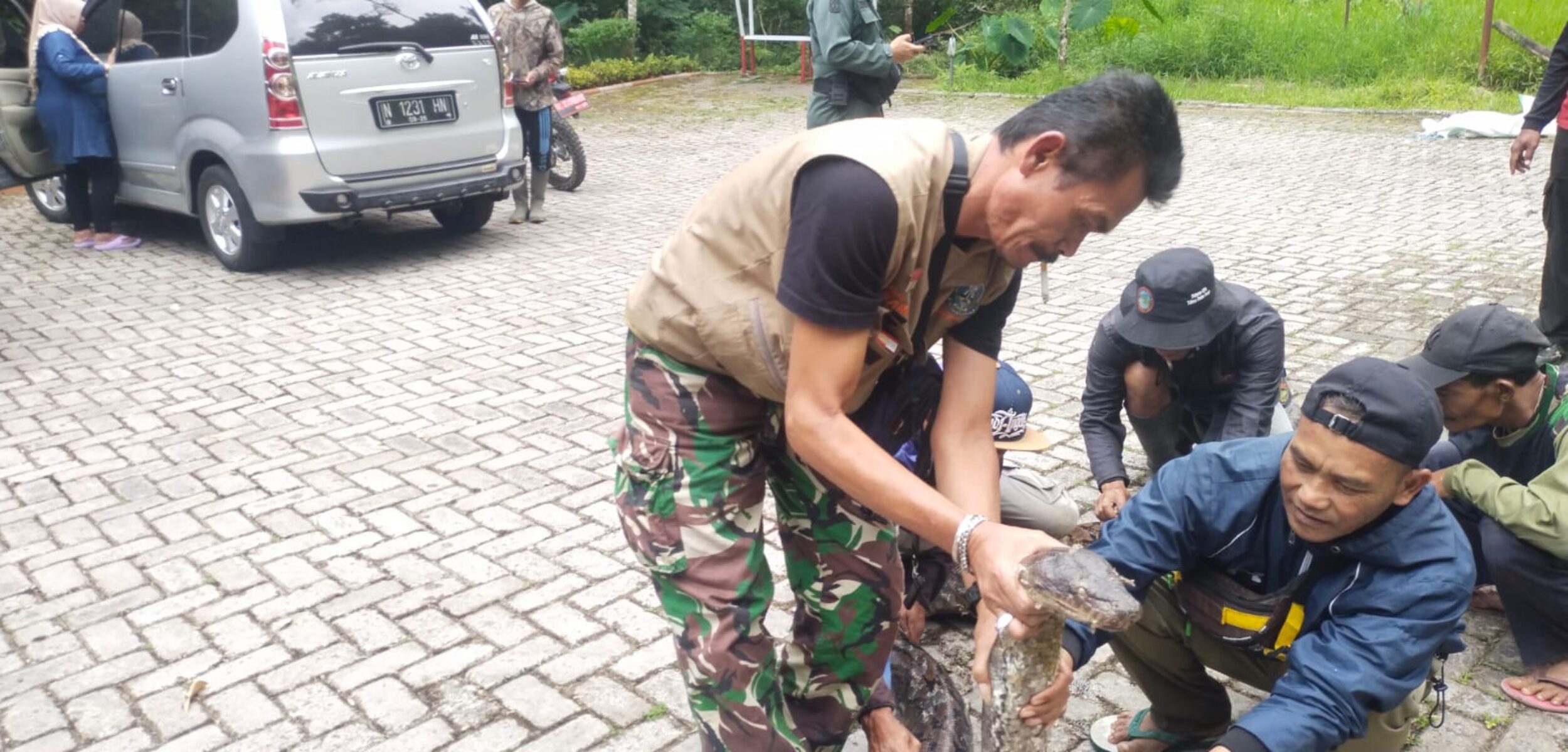 Petugas Tahura mengevakuasi ular berukuran besar dari bawah jembatan cangar, Minggu (1/9/2024) kemarin siang (Andy / Kabarterdepan.com) 