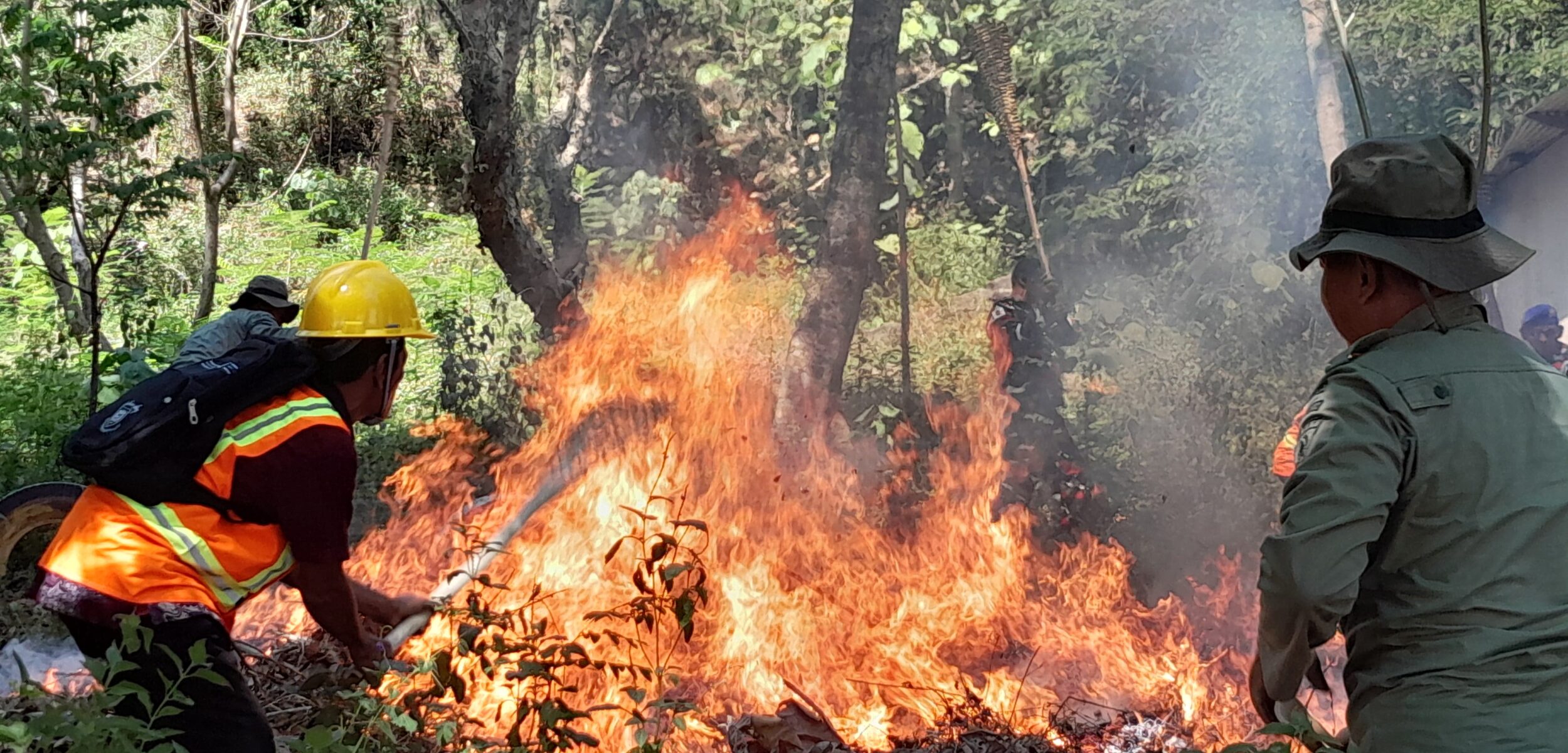Kemarau Melanda, Begini Respon Perum Perhutani KPH Gundih Antisipasi Kebakaran Lahan Hutan di Grobogan