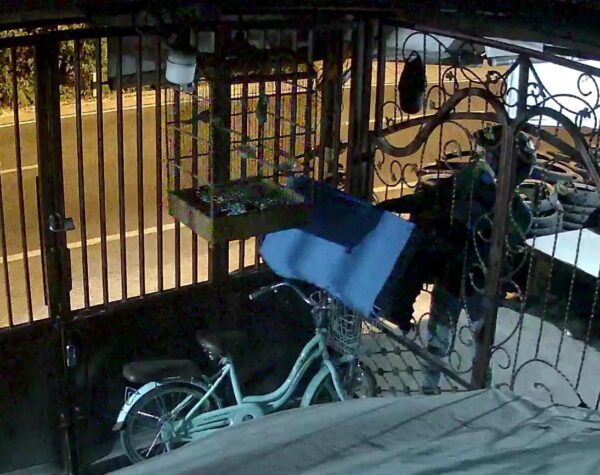 Resahkan Warga Pacet, Maling Burung Berkicau Terekam CCTV