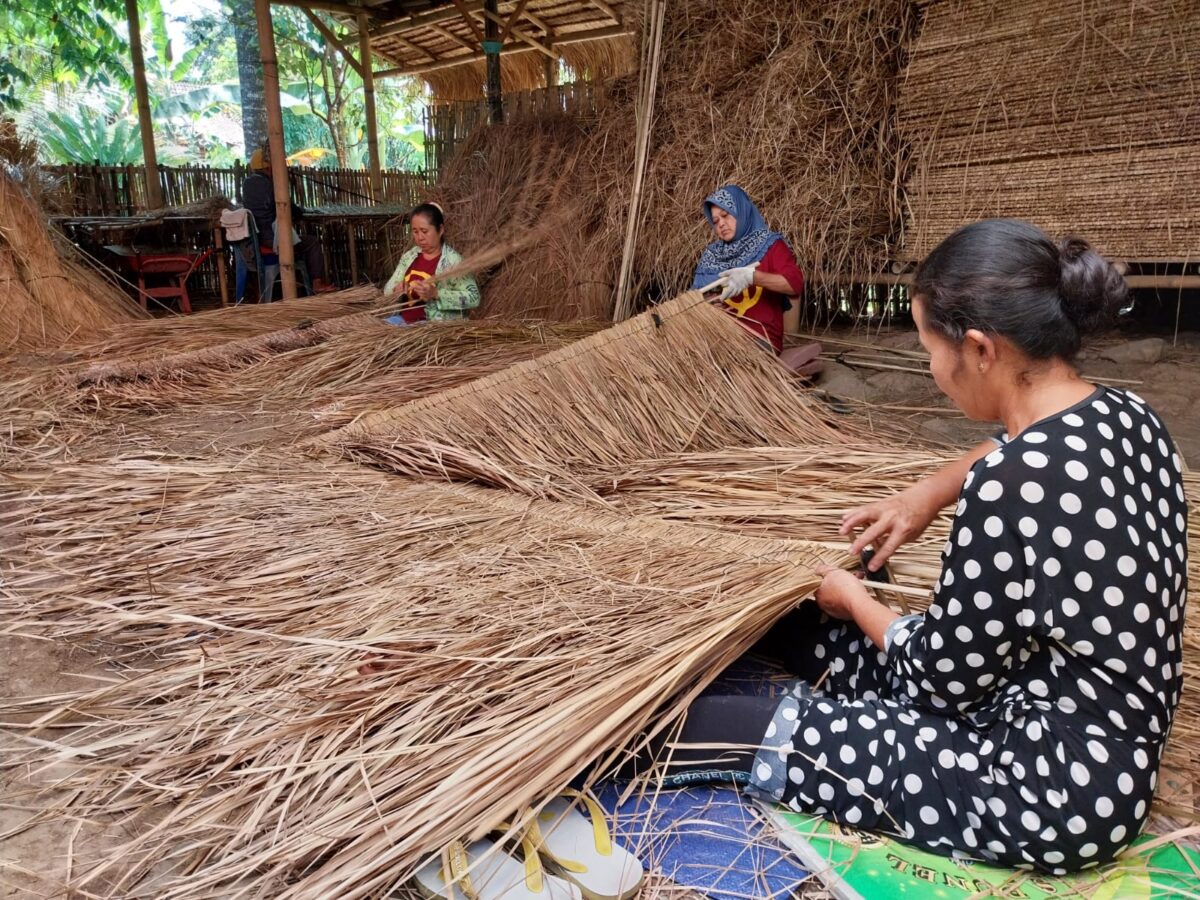 IMG 20240917 WA0034 1 sulap ilalang