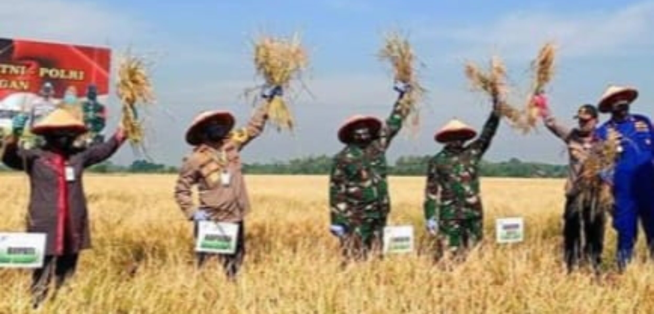 Bantuan Puso Belum Cair, BPBD Grobogan Sebut Ada Kendala Verifikasi Data