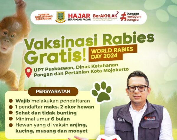 Pemkot Mojokerto Gelar Vaksinasi Rabies Gratis untuk Hewan Peliharaan, Catat Tanggal dan Syaratnya