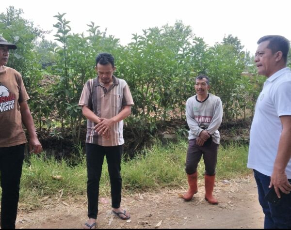 Serap Aspirasi Masyarakat, Calon Wakil Wali Kota Batu Ini Bakal Bangun Akses Jalan untuk Petani
