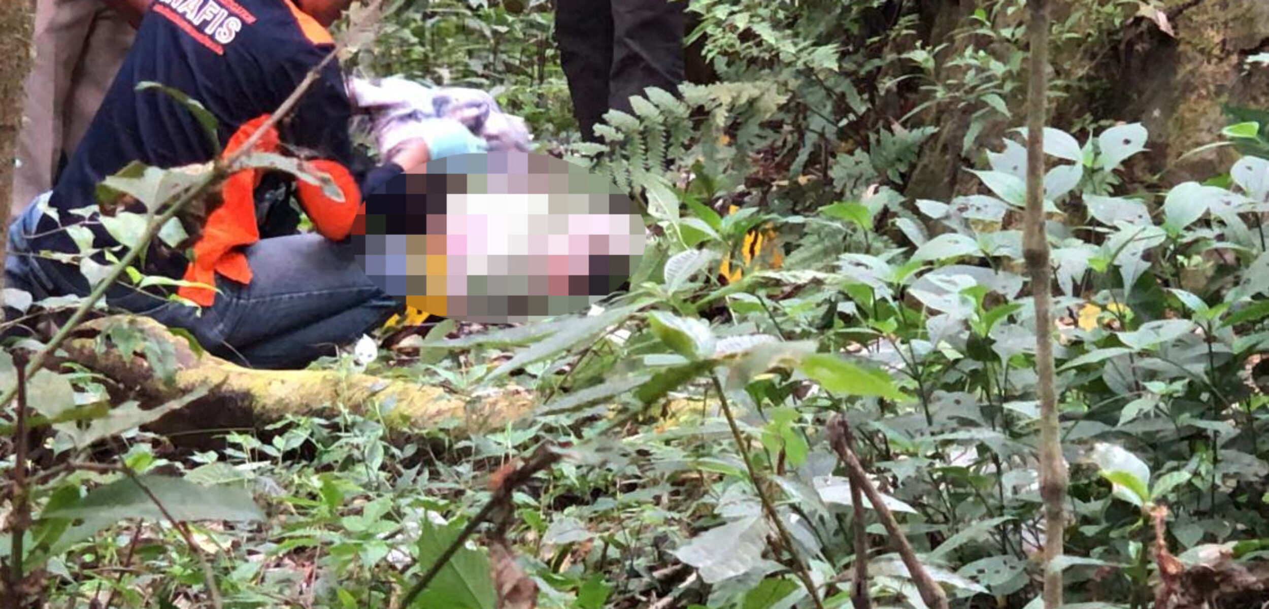 Geger, Mayat Perempuan Tanpa Identitas Ditemukan di Area Hutan Pacet