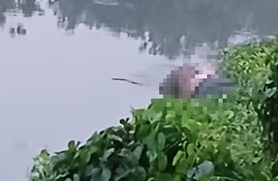 IMG 20240926 231813 1 IMG 20240926 231813