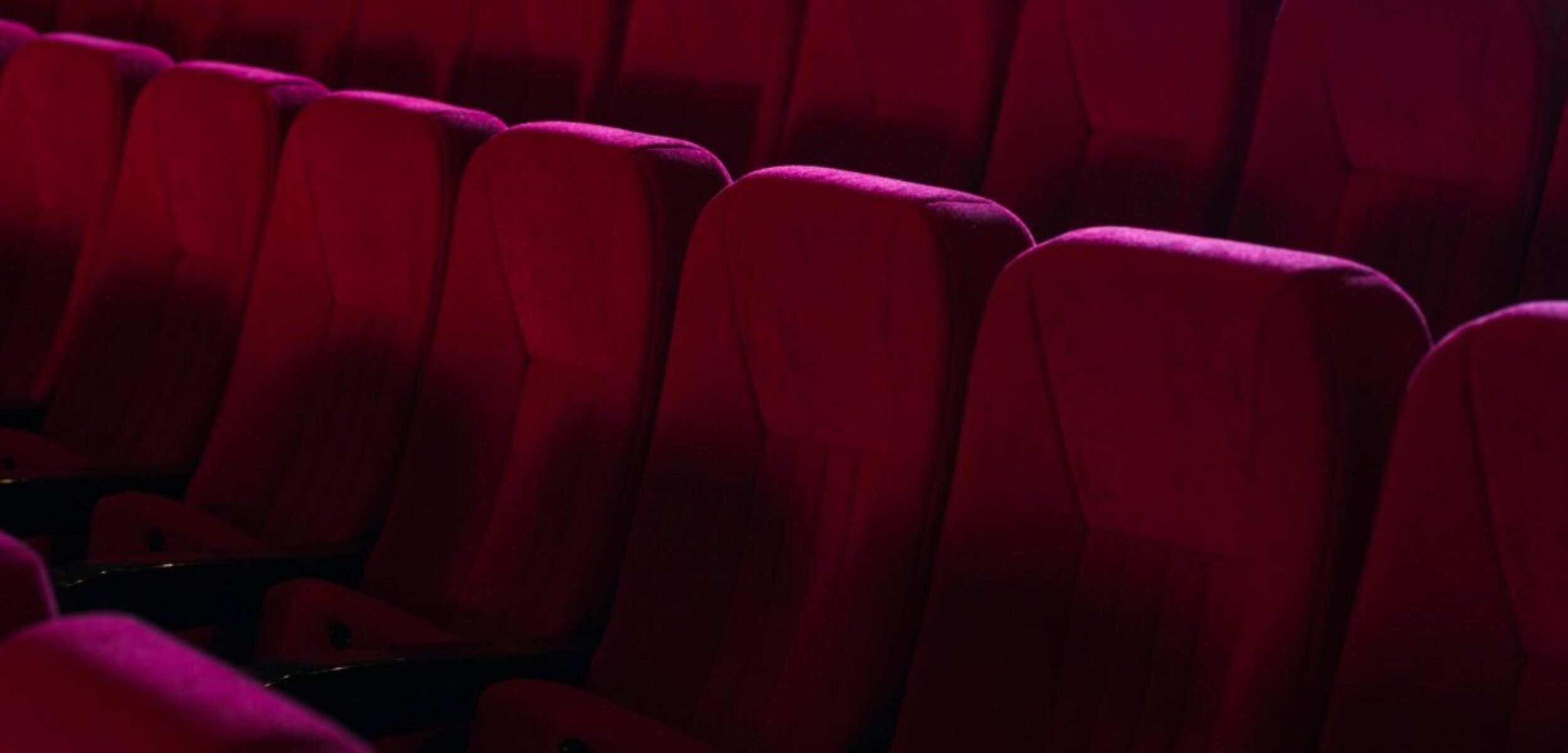 WhatsApp Image 2024 09 03 at 8.26.11 AM