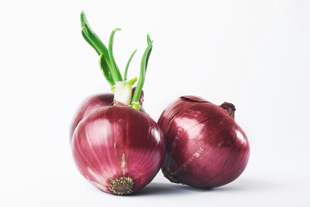 WhatsApp Image 2024 09 03 at 9.45.25 AM 1 WhatsApp Image 2024 09 03 at 9.45.25 AM