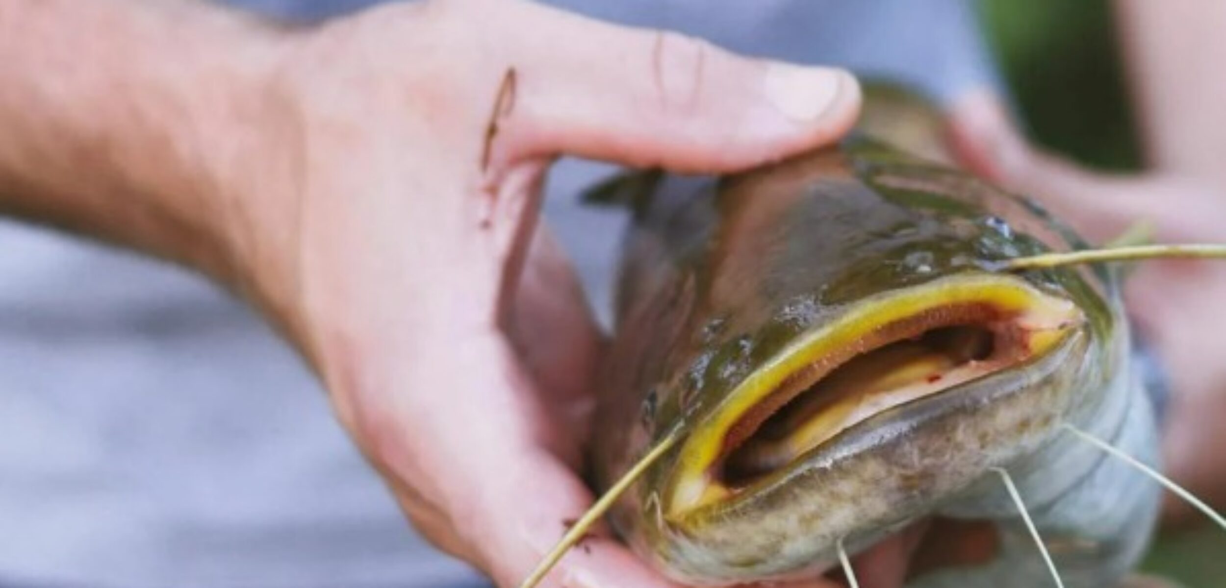 WhatsApp Image 2024 09 06 at 10.17.20 AM