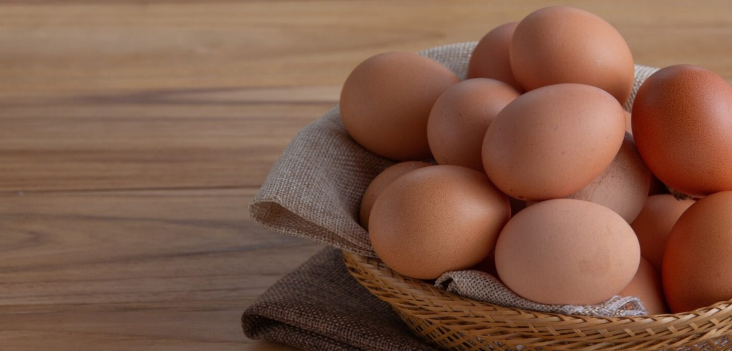 WhatsApp Image 2024 09 07 at 9.32.41 AM 1 WhatsApp Image 2024 09 07 at 9.32.41 AM