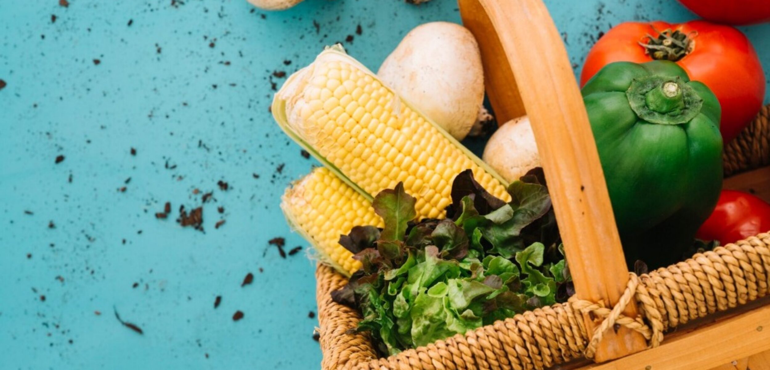 WhatsApp Image 2024 09 11 at 11.47.23 AM