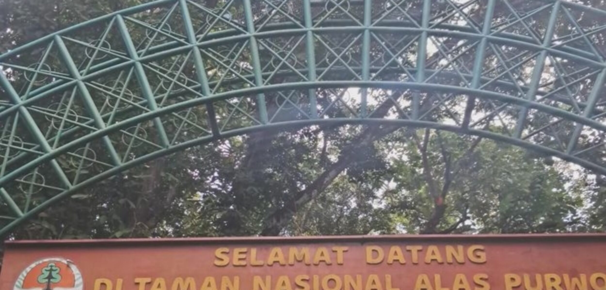 Taman Nasional Alas Purwo/(instagram/@bodskyy)