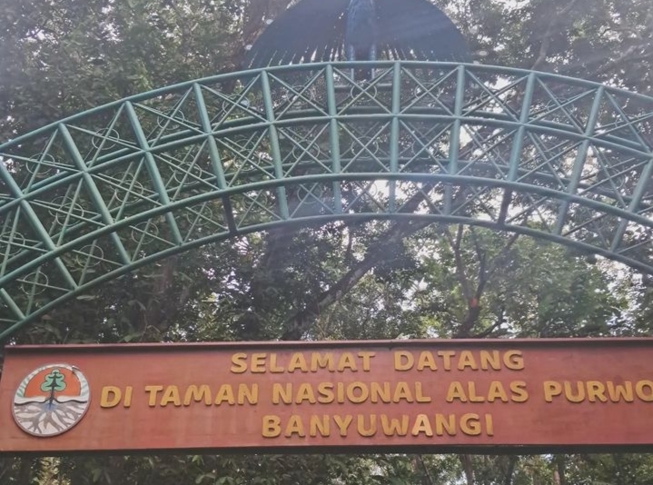 Taman Nasional Alas Purwo/(instagram/@bodskyy)