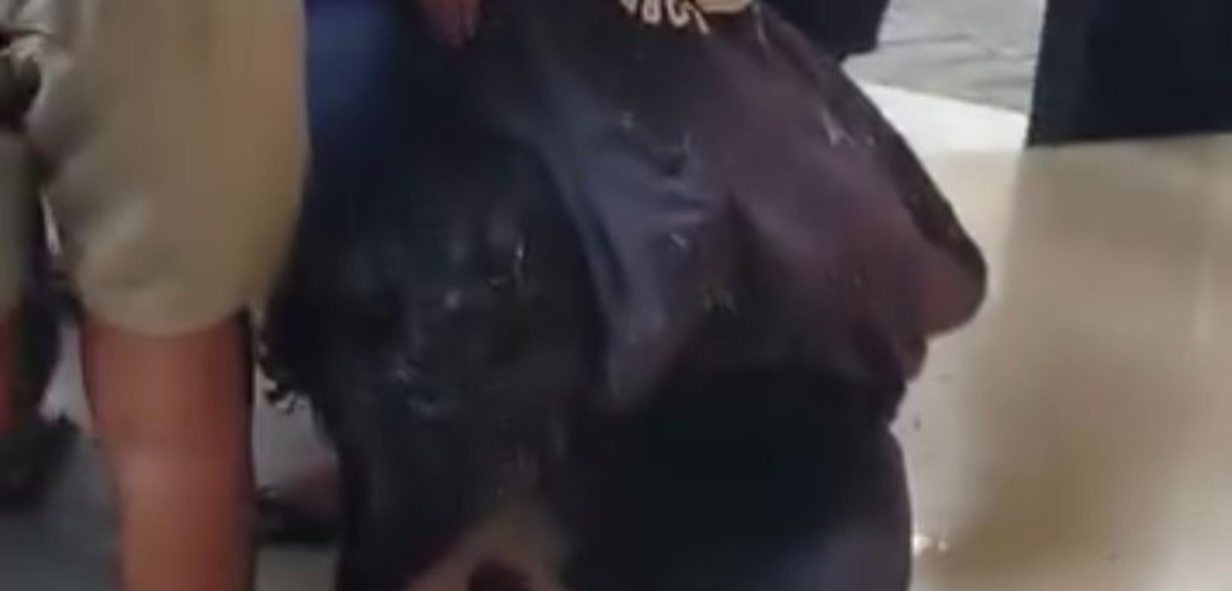 Aksi Jambret di Jombang Digagalkan Warga, Pelaku Babak Belur Dimassa