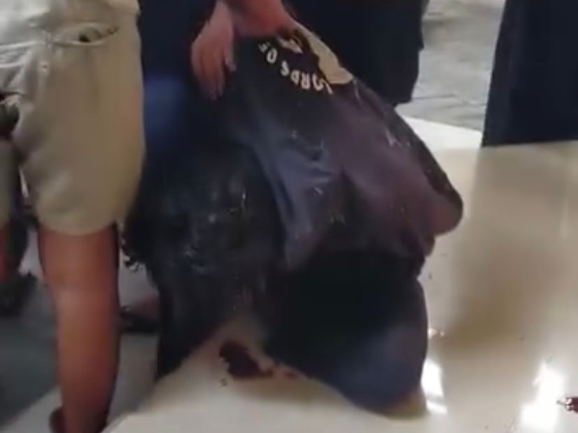 WhatsApp Image 2024 09 12 at 7.25.02 PM