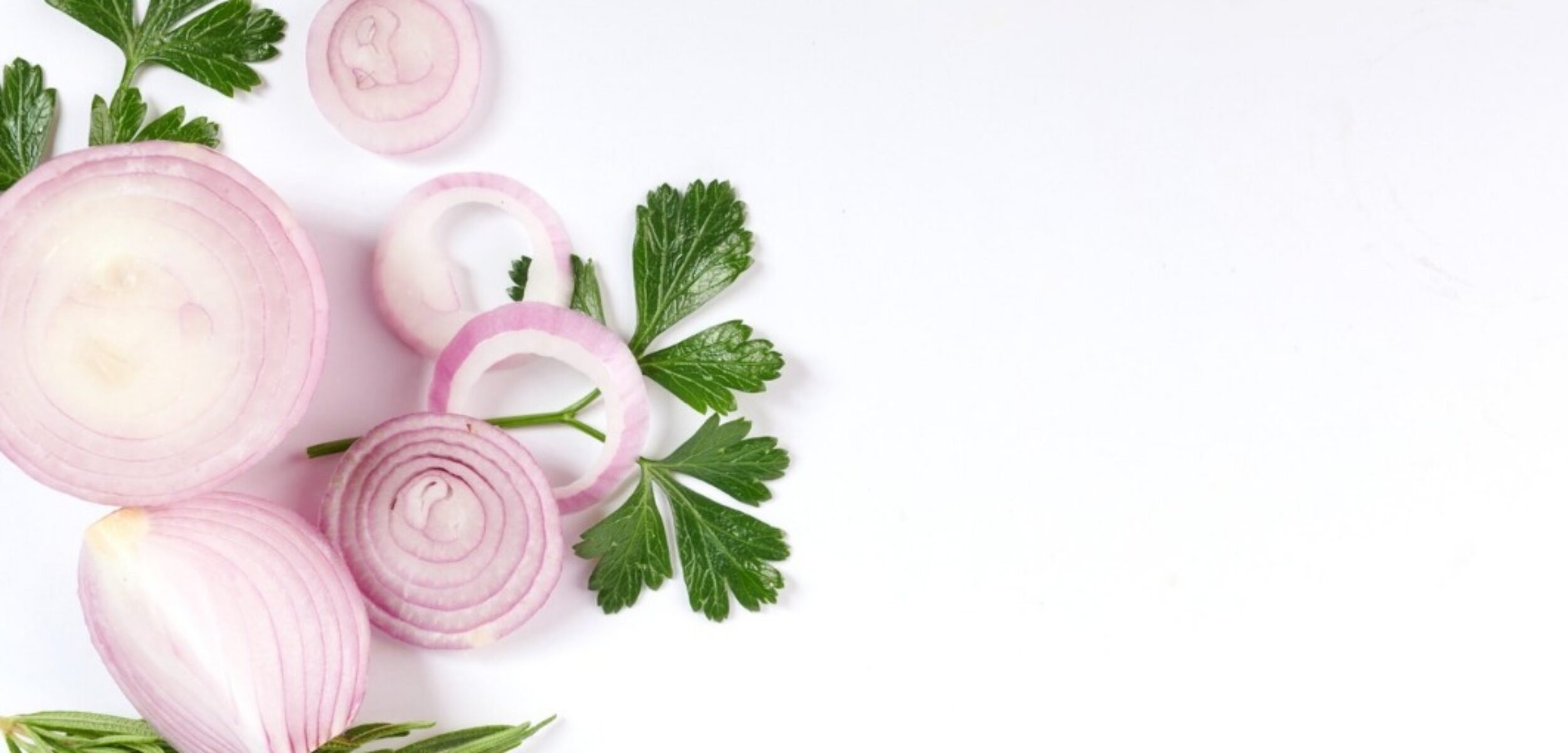 WhatsApp Image 2024 09 14 at 10.45.26 AM