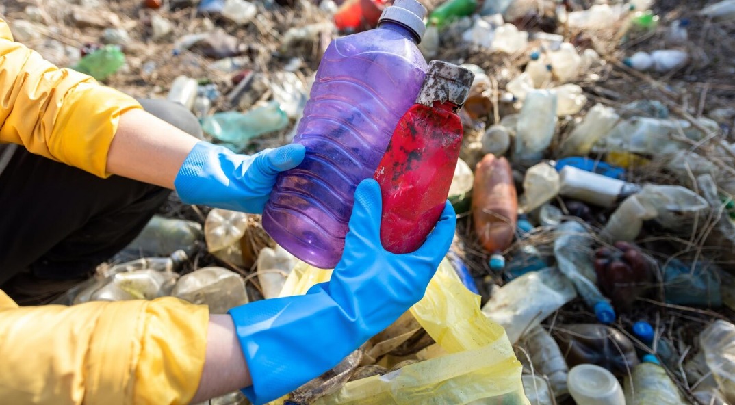 WhatsApp Image 2024 09 14 at 11.39.16 AM