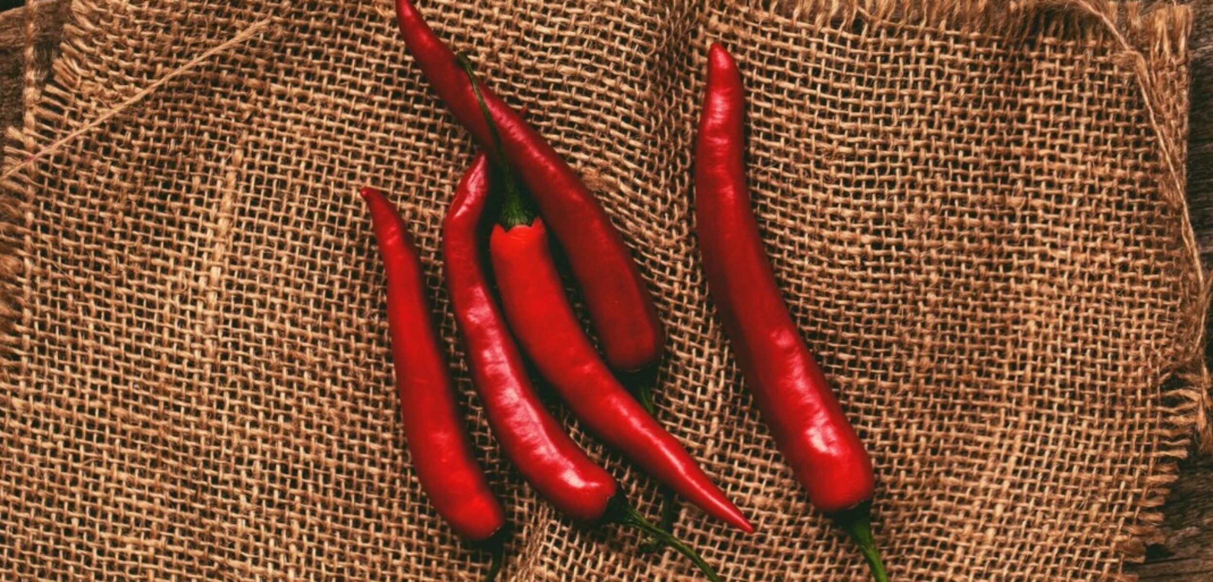 WhatsApp Image 2024 09 14 at 9.20.06 AM