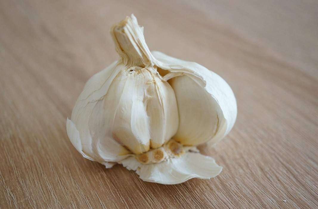 Ilustrasi bawang putih (Freepik)