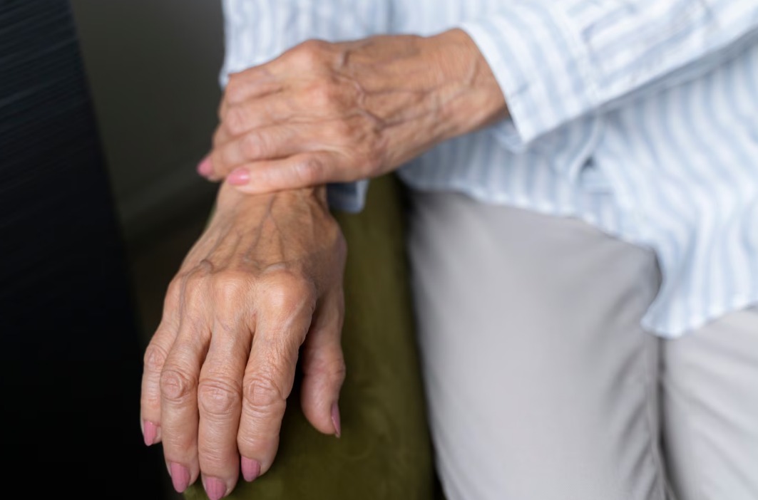 WhatsApp Image 2024 09 19 at 11.25.13 AM