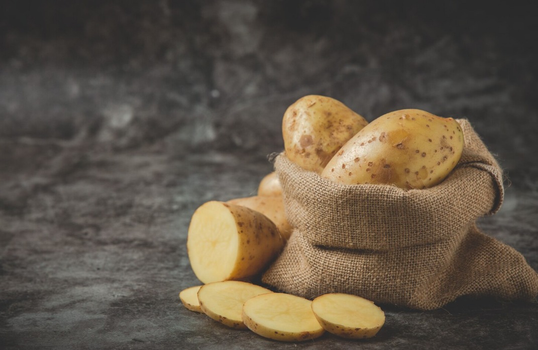 WhatsApp Image 2024 09 20 at 9.14.47 AM 1 WhatsApp Image 2024 09 20 at 9.14.47 AM