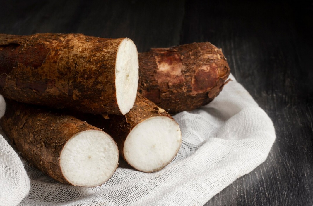 WhatsApp Image 2024 09 23 at 9.29.07 AM