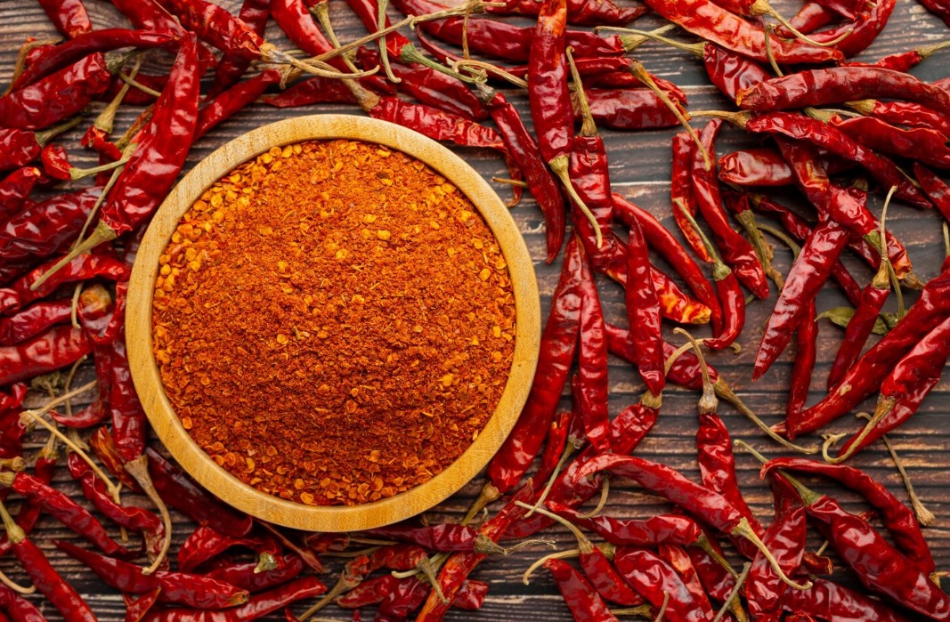 WhatsApp Image 2024 09 25 at 9.02.40 AM