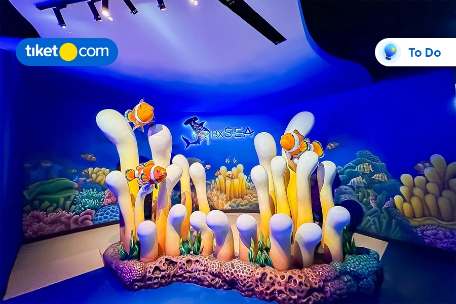 Foto 2 BXSea 1 Foto 2 BXSea