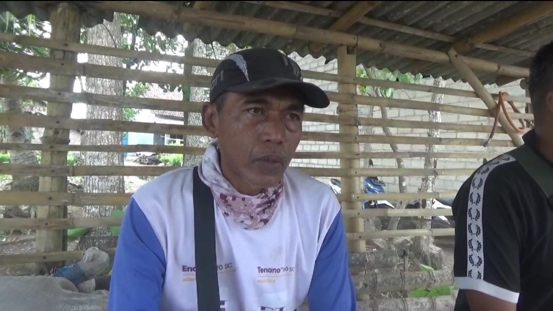 Harga Cabai di Banyuwangi Anjlok ke Rp 3.500, Petani Mumet