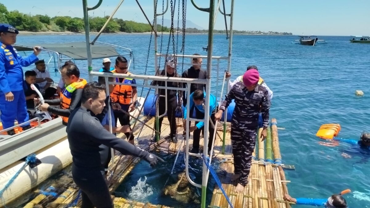 IMG 20241010 WA0114 2 IMG 20241010 WA0114