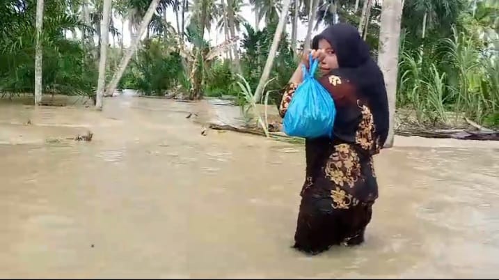 Hujan Intensitas Tinggi, Dua Desa di Kecamatan Siabu Madina Banjir