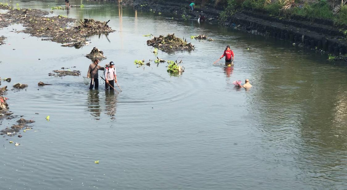 Sejumlah warga mencari ikan di aliran sungai Sadar di Desa Jabontegal dan Balongmasin Kecamaran Pungging, Kabupaten Mojokephto untuk berburu ratusan ikan yang mabuk akibat kekurangan air, Minggu (26/10/2024) pagi (Andy / Kabarterdepan.com)