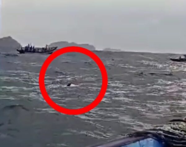 Setelah 6 Hari Pencarian, Wisatawan Terseret Ombak Pantai Kedung Tumpang Ditemukan Tewas