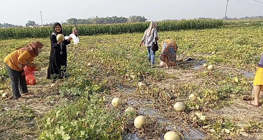 Screenshot 20241006 061825