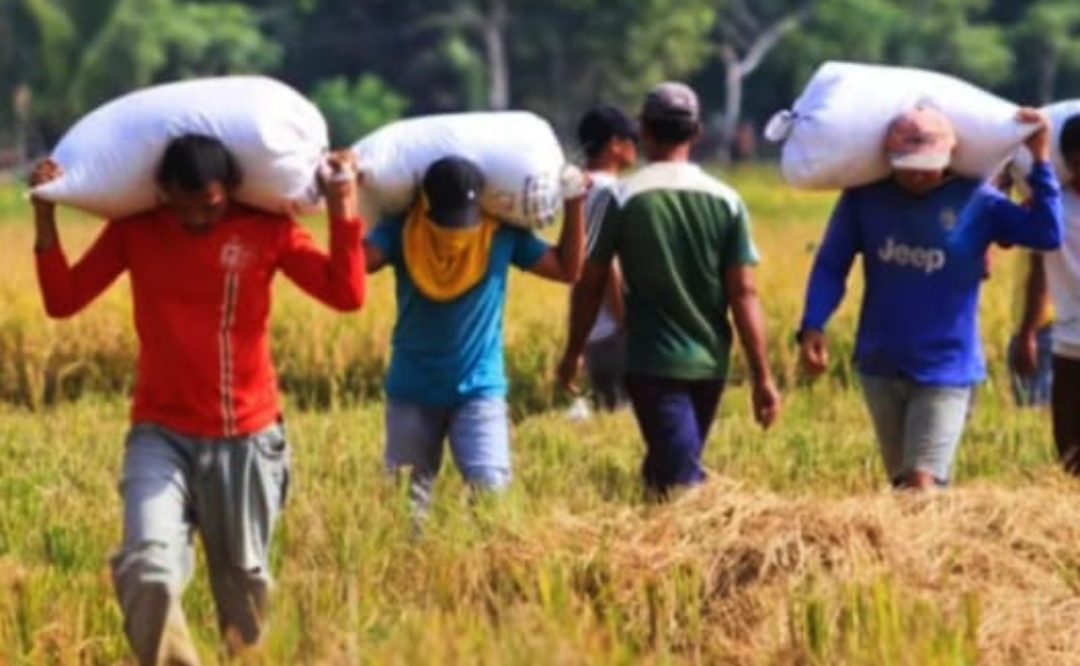 Screenshot 20241007 194859